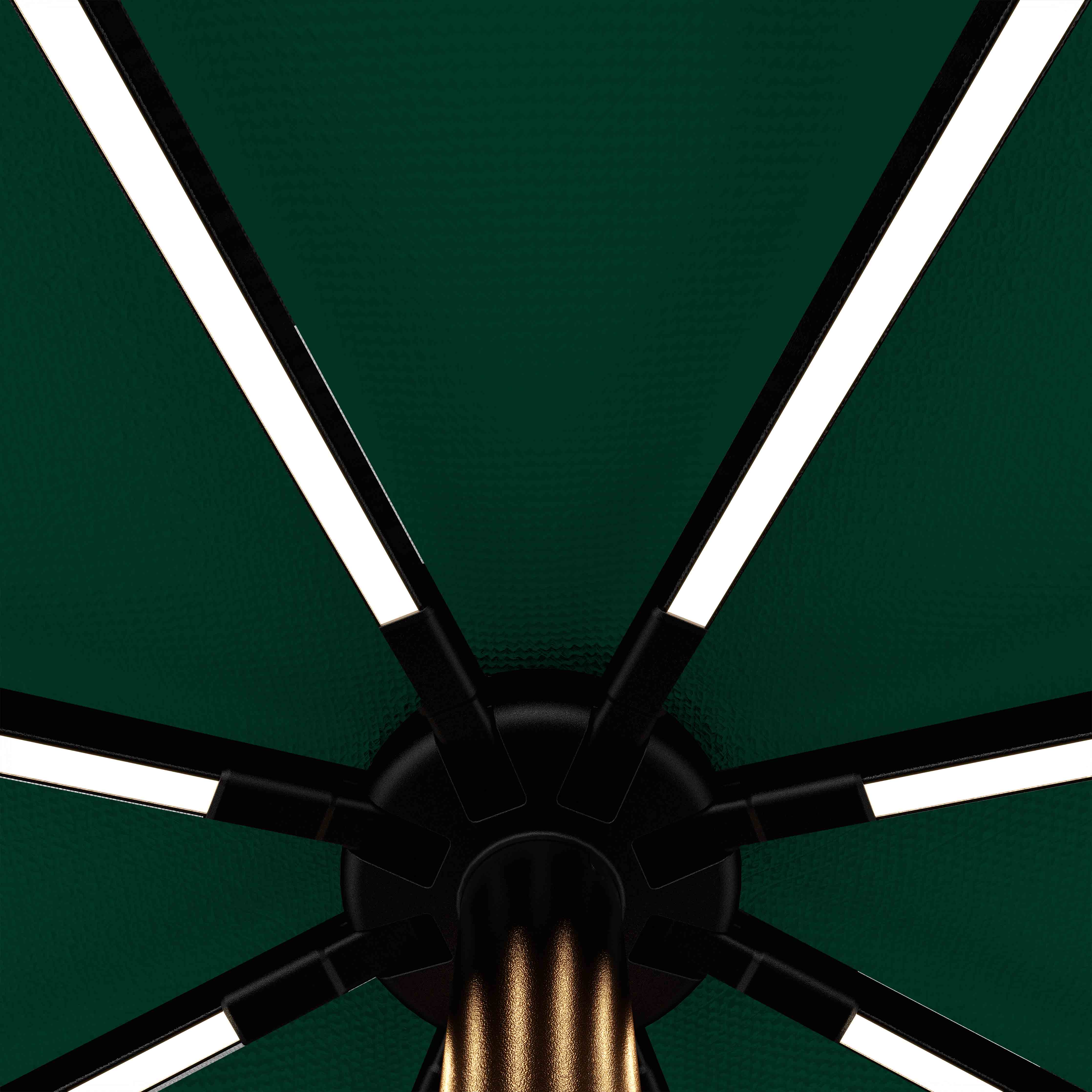 The Glow - Sunbrella Forest Green