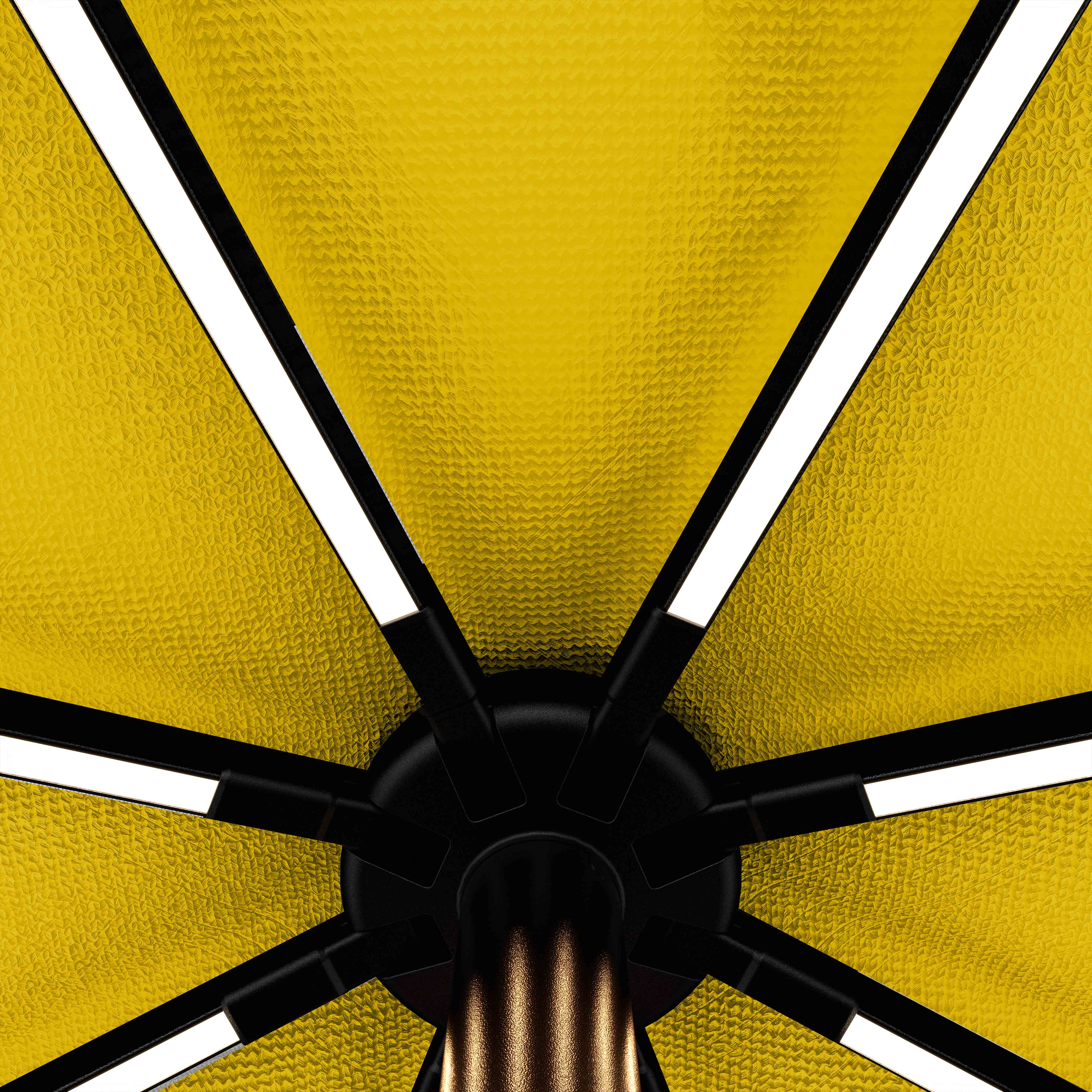The Glow - Terylast Sunflower