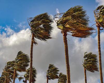 How to keep your patio umbrella safe in high winds?