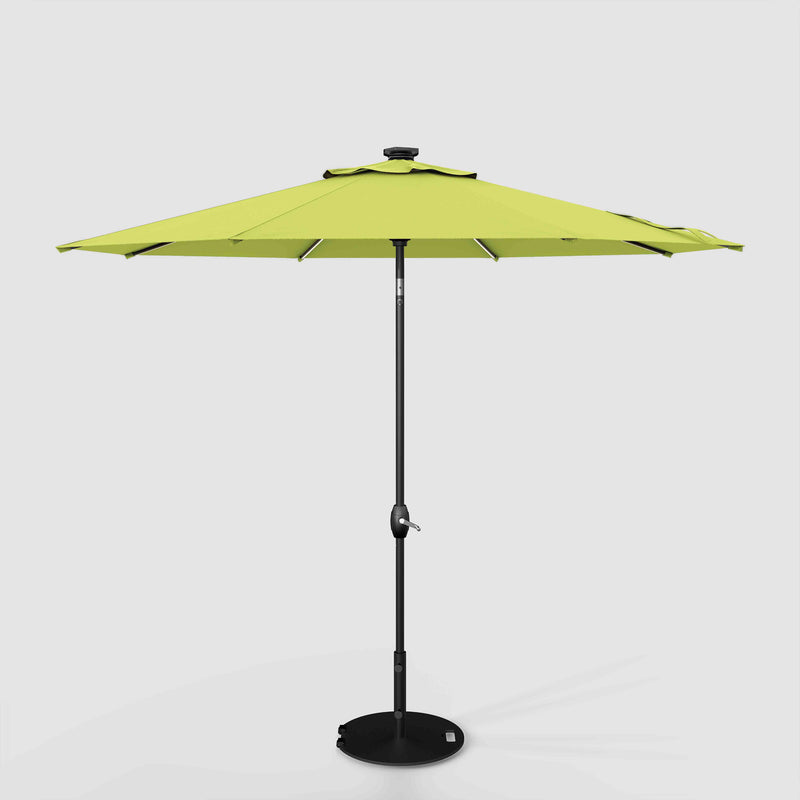 The Glow - Sunbrella Macaw
