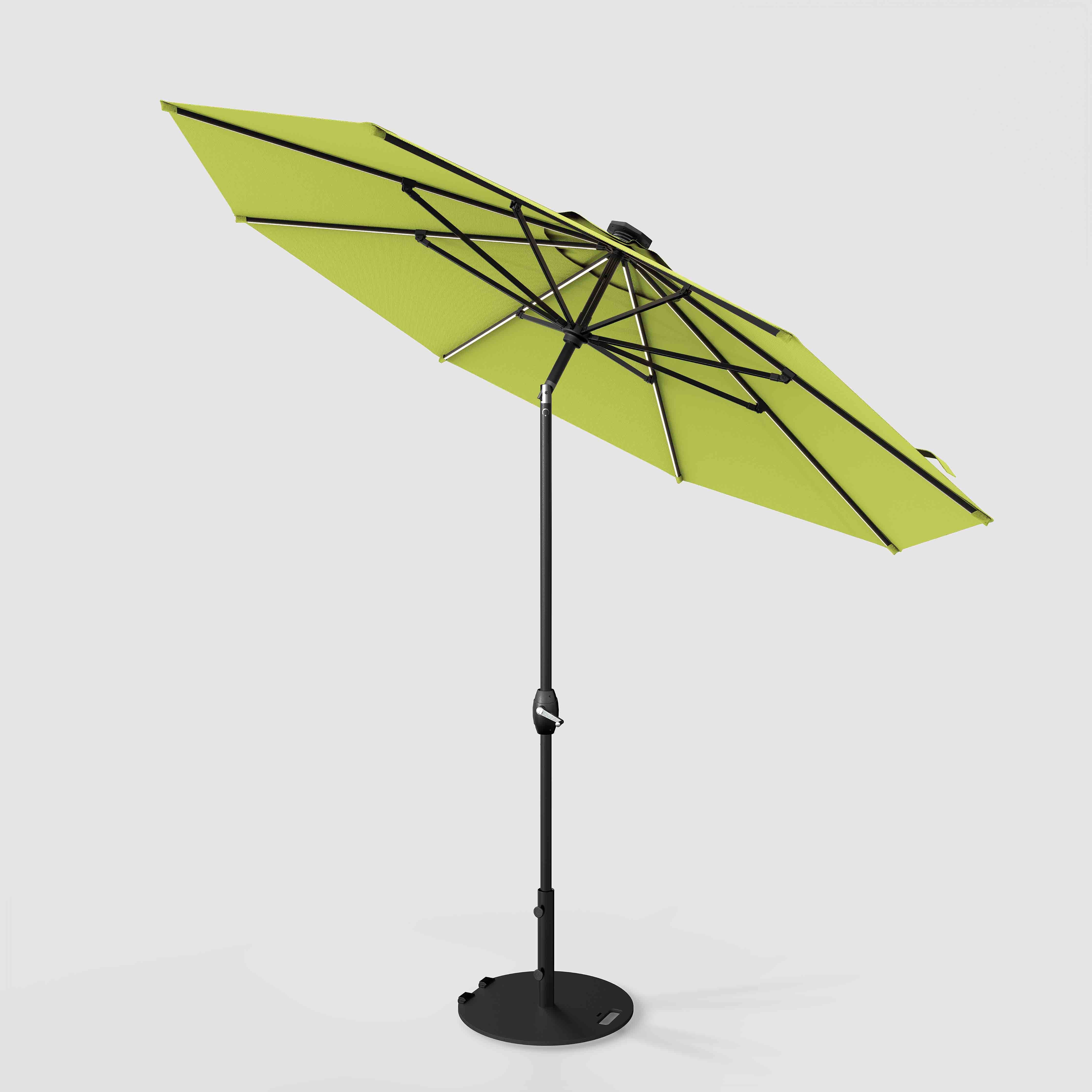 The Glow - Sunbrella Macaw