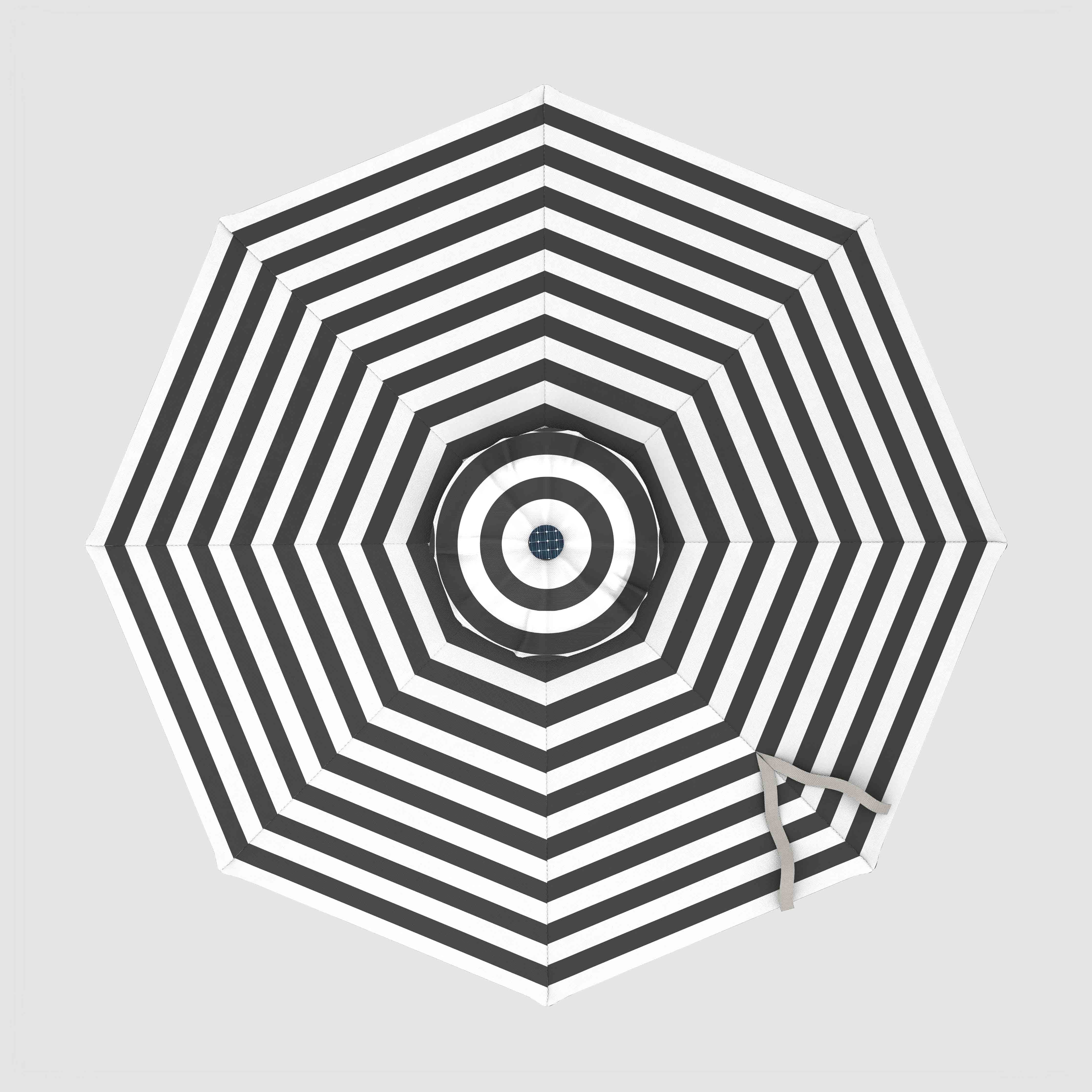 The Glow - Terylast Zebra