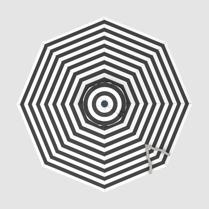 The Glow - Terylast Zebra