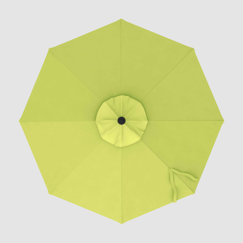 The Wooden 2™ - Sunbrella Macaw